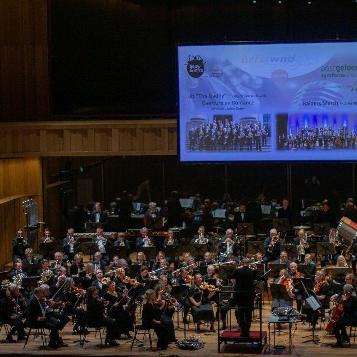 20251206 223413 verkleind website